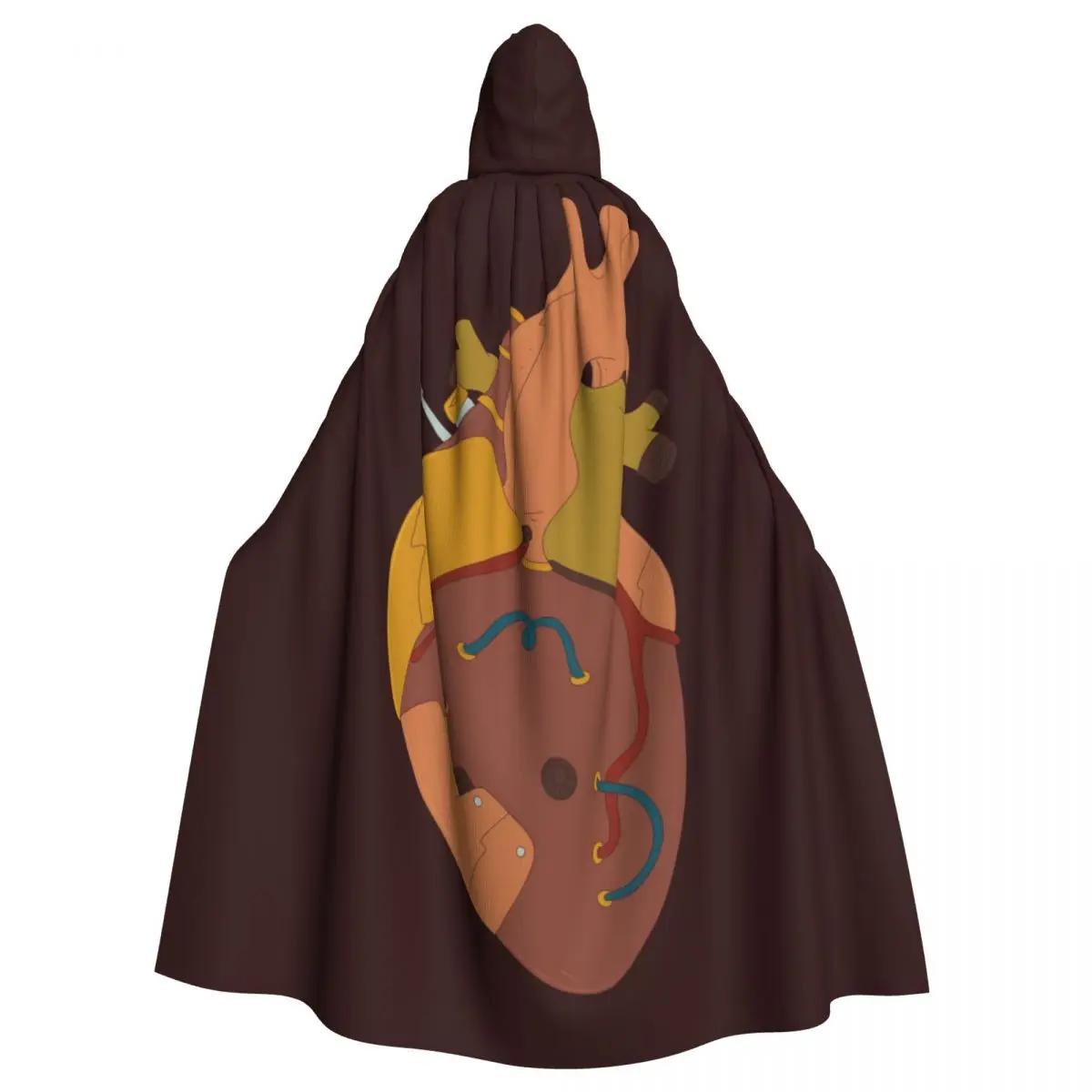   ĵ , ũ Ʈ , ̾  , ڽ ڽƬ